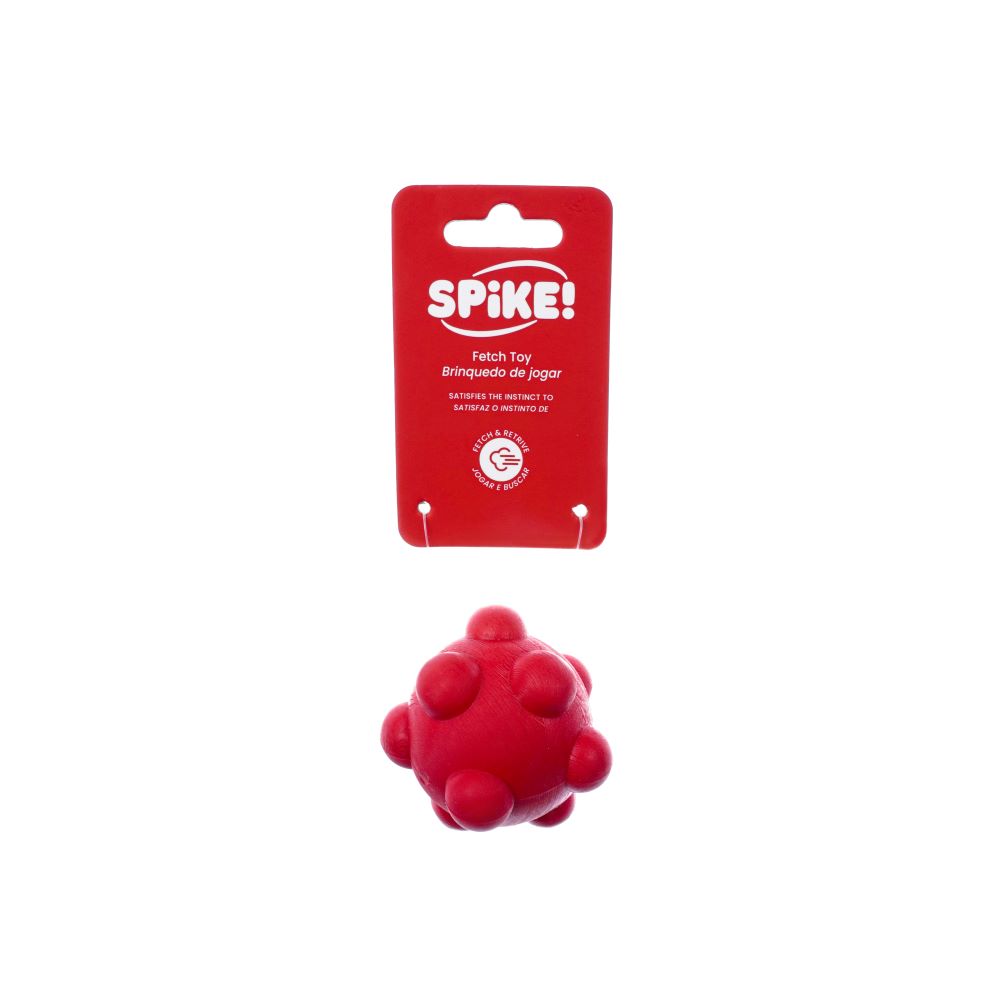 NEW!  Spike Ball Asteroid Dog Toy