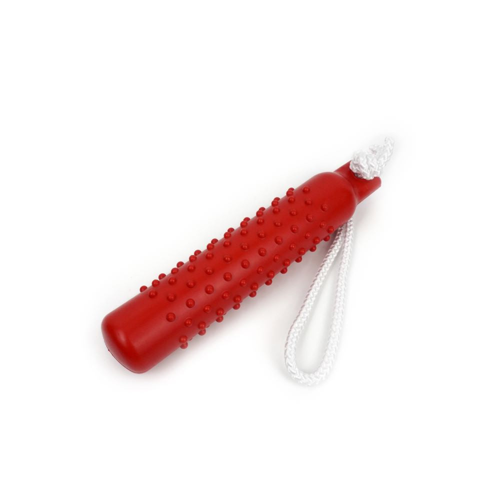 NEW!  Spike Rope Buoy Dog Toy