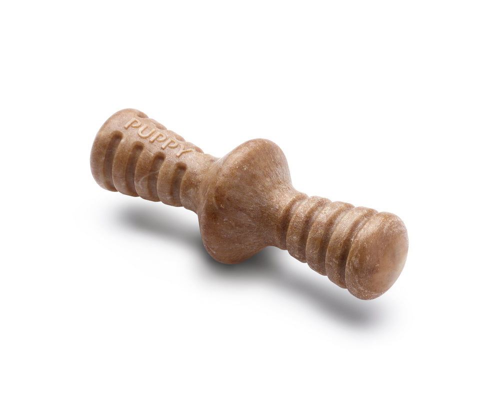 Benebone Maple & Bacon Chew Toys - For Puppies