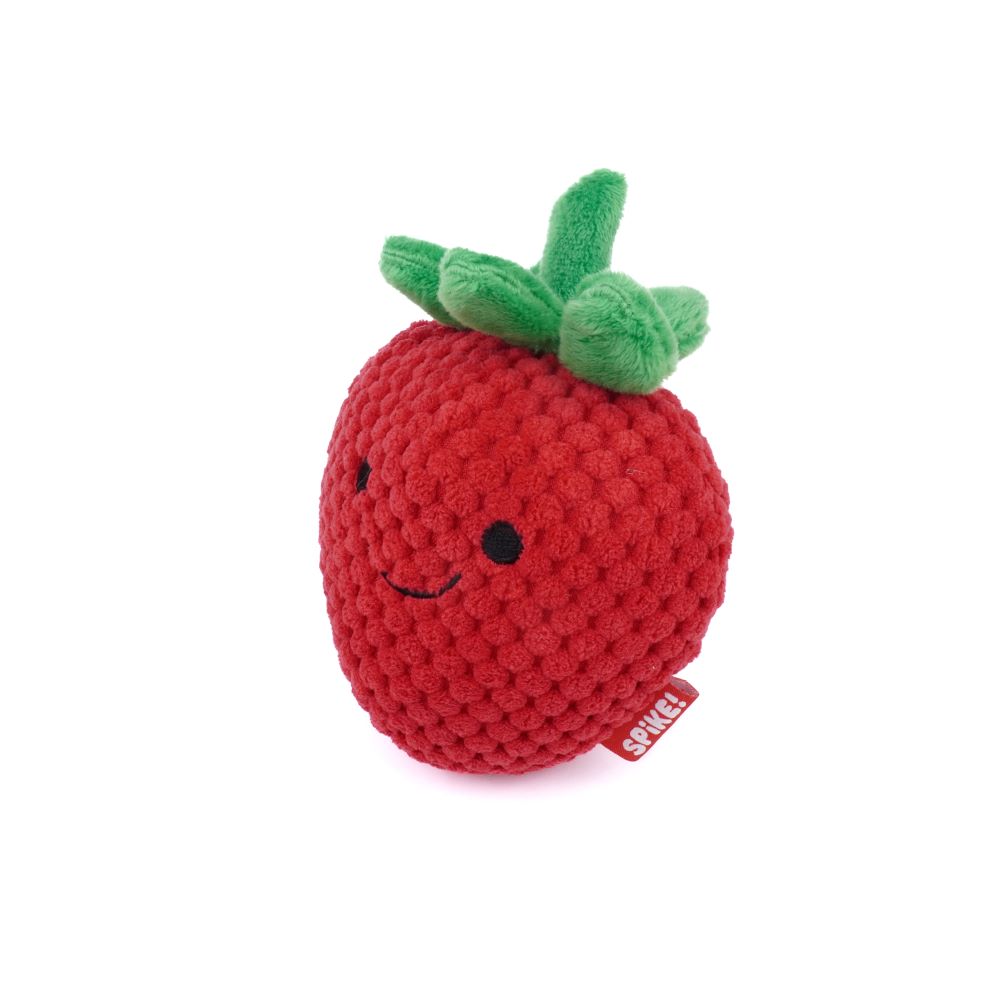 NEW!  Spike Kawaii Strawberry Dog Toy