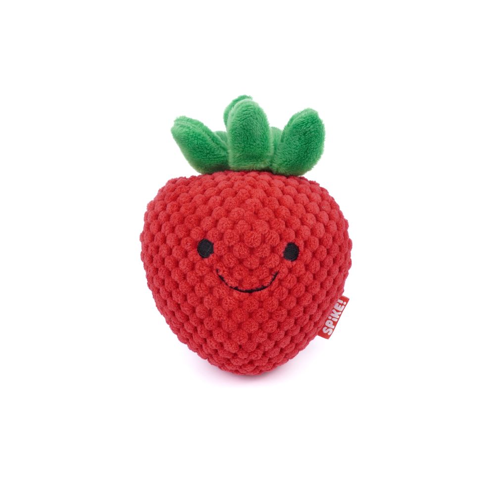 NEW!  Spike Kawaii Strawberry Dog Toy