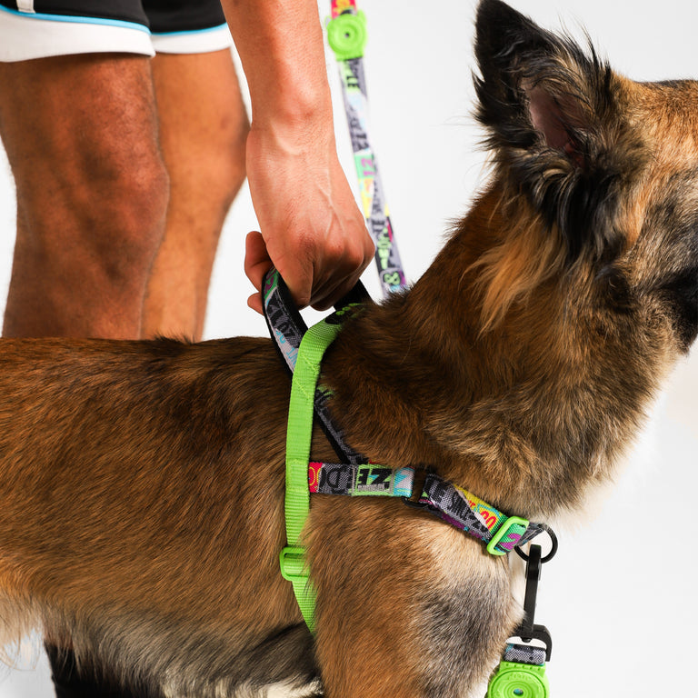 NEW!  Zee.Dog Softer Walk Harness - Manifesto