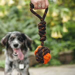 P.L.A.Y. Scout & About - Rope Toy - Tug Ball - Large