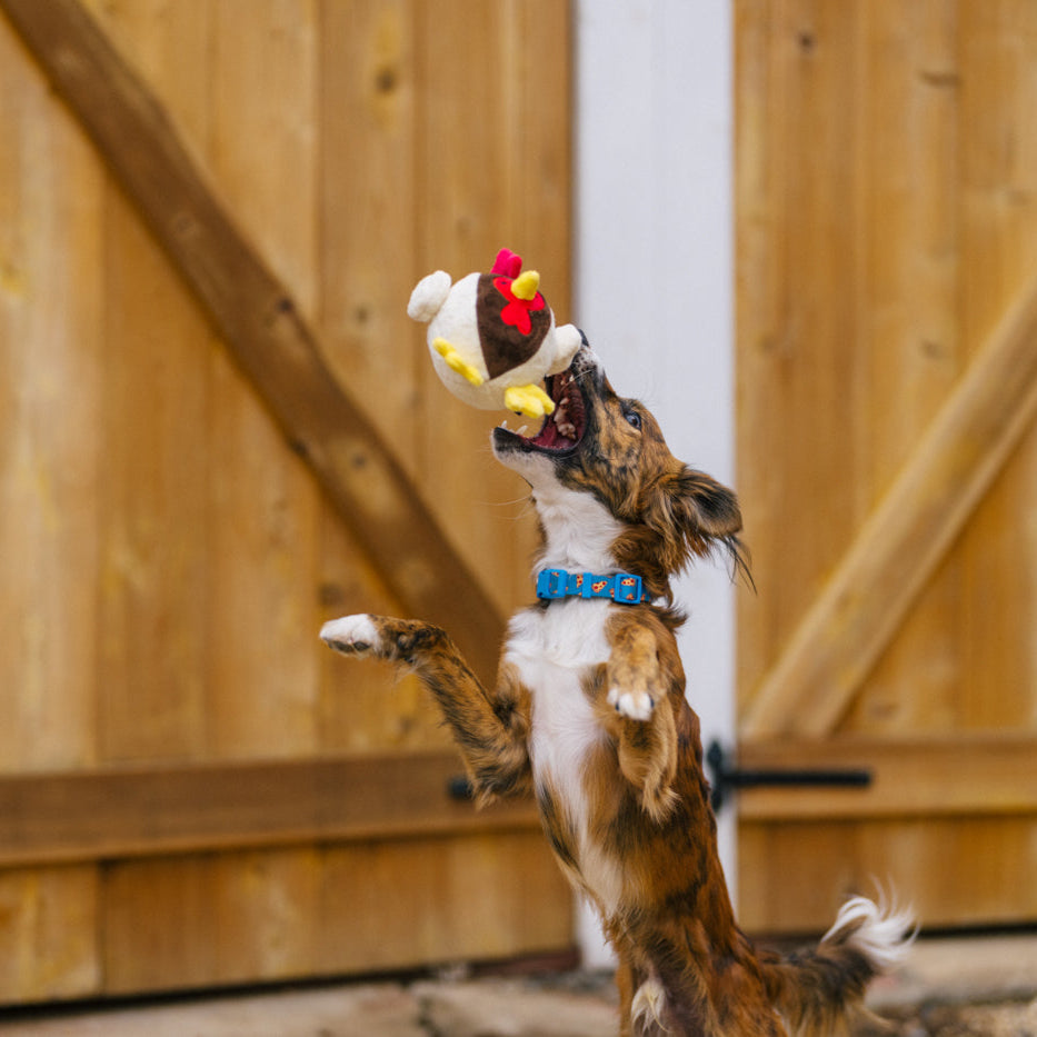 
            
                Load image into Gallery viewer, NEW!  P.L.A.Y. Barnyard Buddies - Ryan the Rooster
            
        