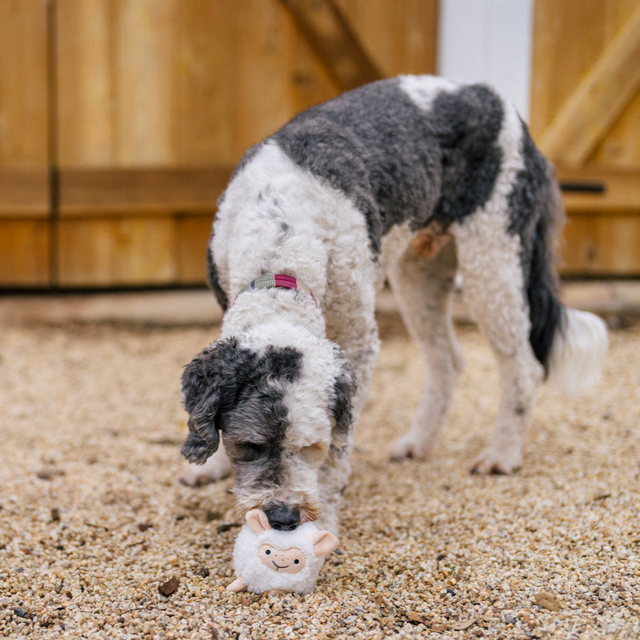 
            
                Load image into Gallery viewer, NEW!  P.L.A.Y. Barnyard Buddies - Sadie the Sheep
            
        