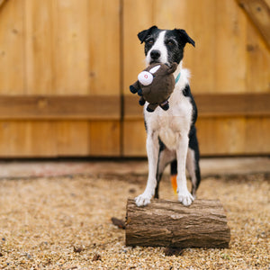 NEW!  P.L.A.Y. Barnyard Buddies - Harley the Horse