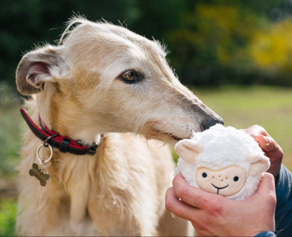 
            
                Load image into Gallery viewer, NEW!  P.L.A.Y. Barnyard Buddies - Sadie the Sheep
            
        